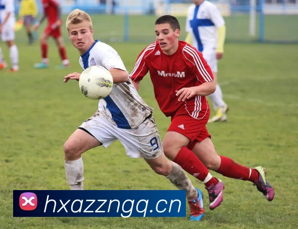 星空官网网页版平台生态图